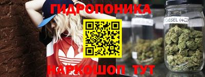 PSILOCYBIN Краснодар