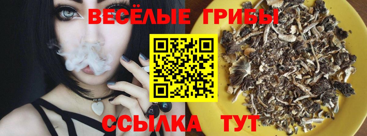 Галлюциногенные грибы прущие грибы Аксай